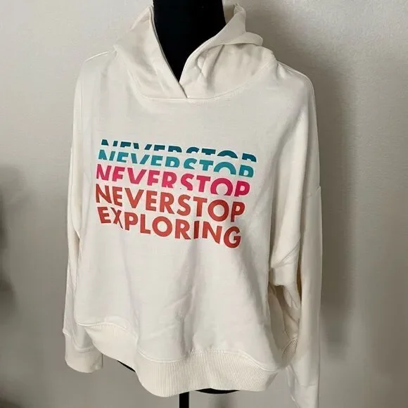 NWT The North Face Logo Play Hoodie - Picture 3 of 11